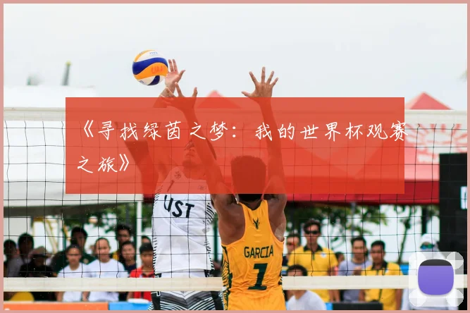 《寻找绿茵之梦：我的世界杯观赛之旅》