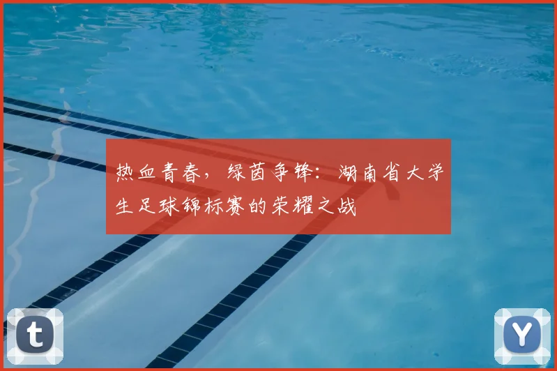 热血青春，绿茵争锋：湖南省大学生足球锦标赛的荣耀之战