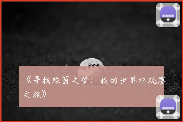 《寻找绿茵之梦：我的世界杯观赛之旅》